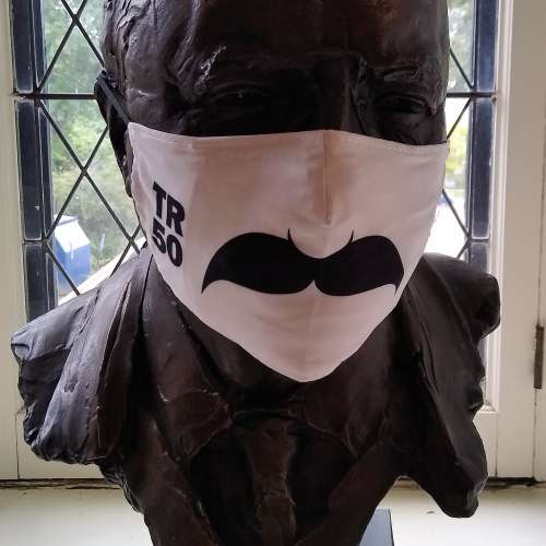 Bust of Theodore Roosevelt wearing face mask