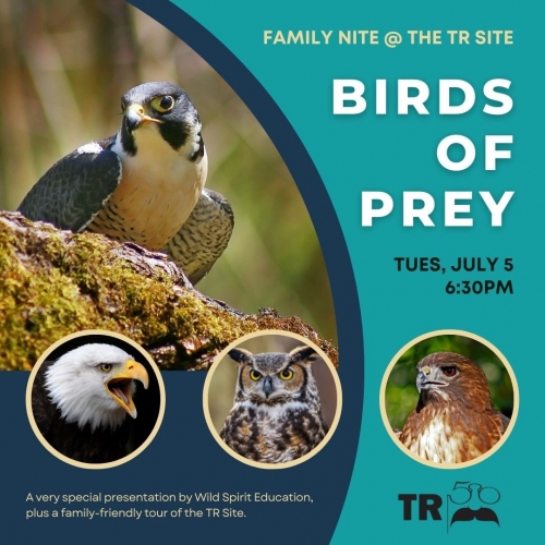 Birds of Prey