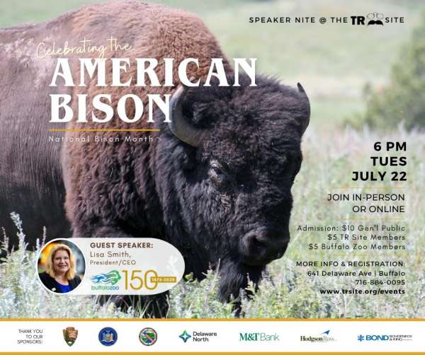 Bison