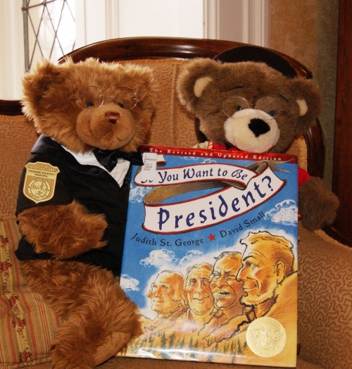teddy bear story